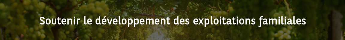 Soutenir le développement des exploitations familiales