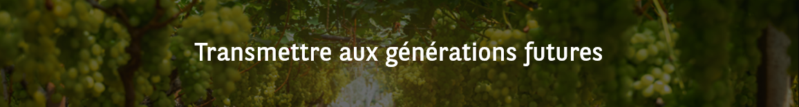 Transmettre aux générations futures